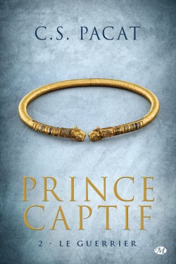 prince-captif,-tome-2---le-guerrier-572837-250-400