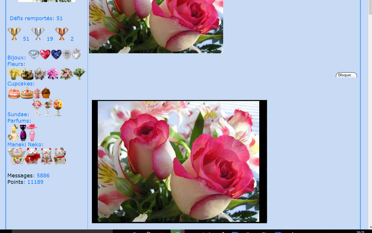 Puzzle #44 - Roses roses 151118103504750433